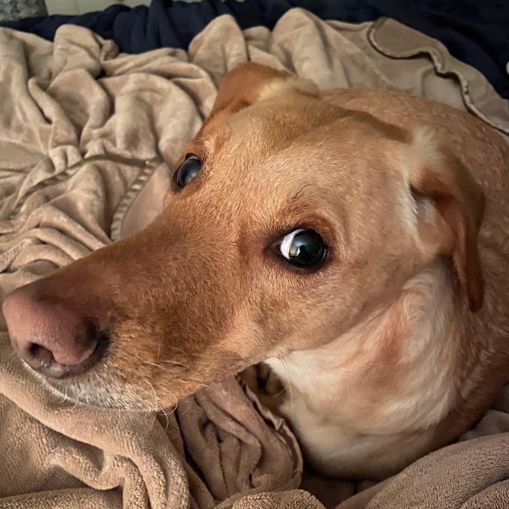 Meet your Posher, Katrina